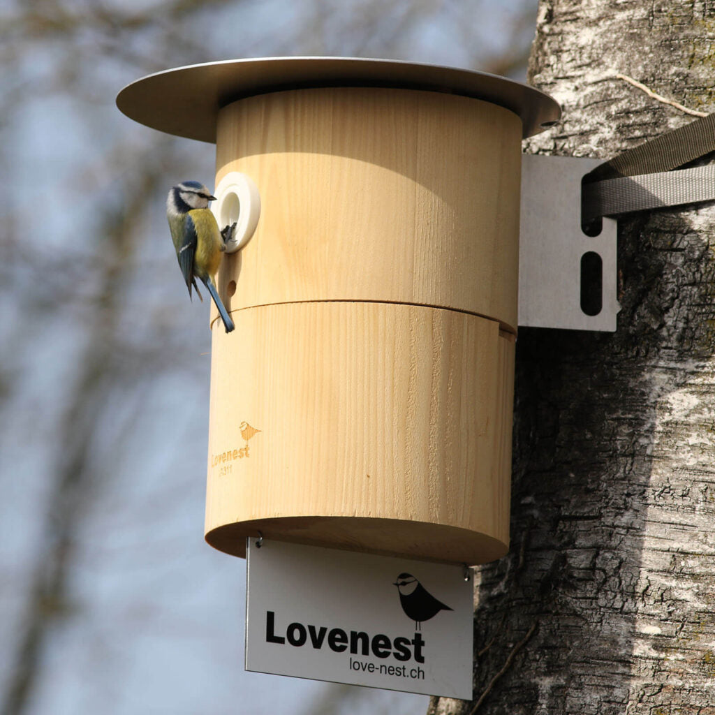 Halterung für Vogelhaus