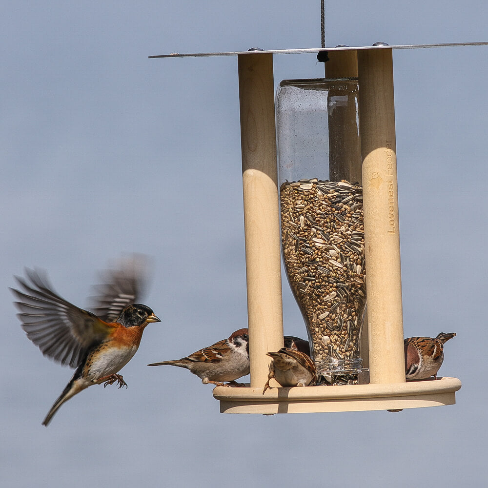 Lovenest Feeder