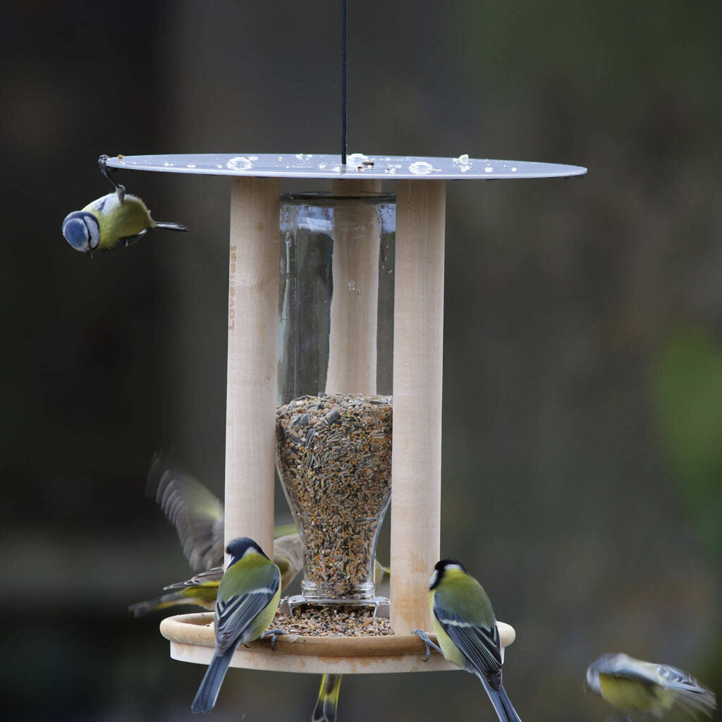 Lovenest Feeder