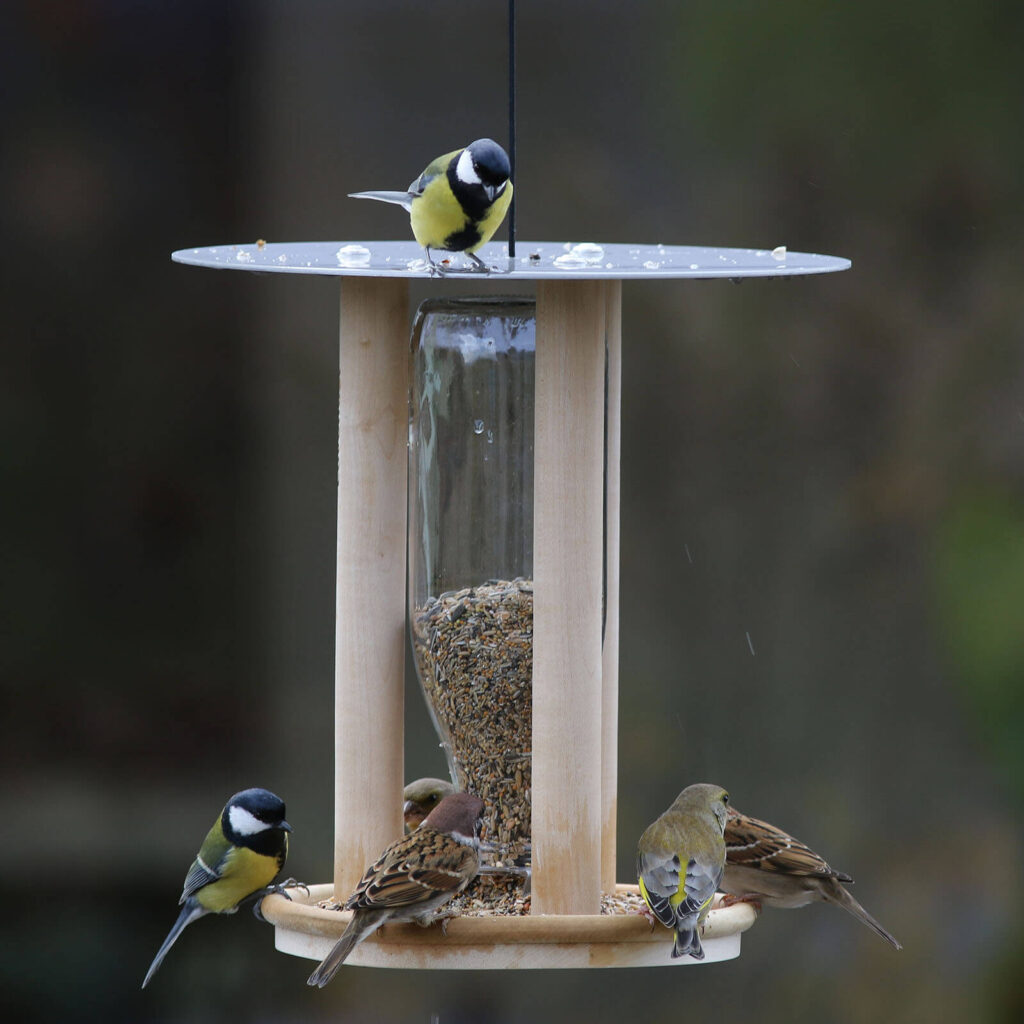 Lovenest Feeder